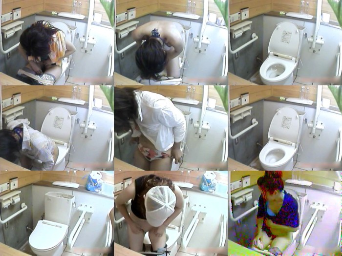 密撮!!夏の海岸洋式個室トイレVol.13 Peeping-eyes toilet TO-8075