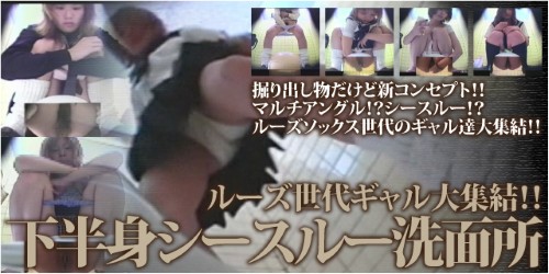 下半身シースルー洗面所
