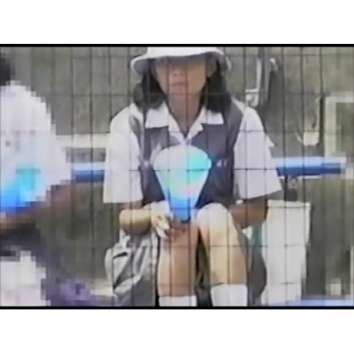 野球観戦パンチラ応援団