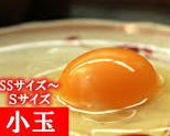 厳選5本！！Sサイズ小玉
