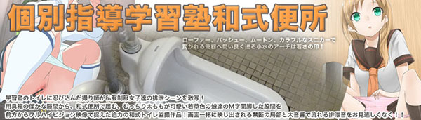 個別指導学習塾和式便所
