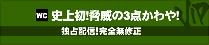 VIP史上初！脅威の3点かわや！Nozokinakamuraya toilet sa01_01, sa02_01, sa03_01, sa04_01, sa05_01