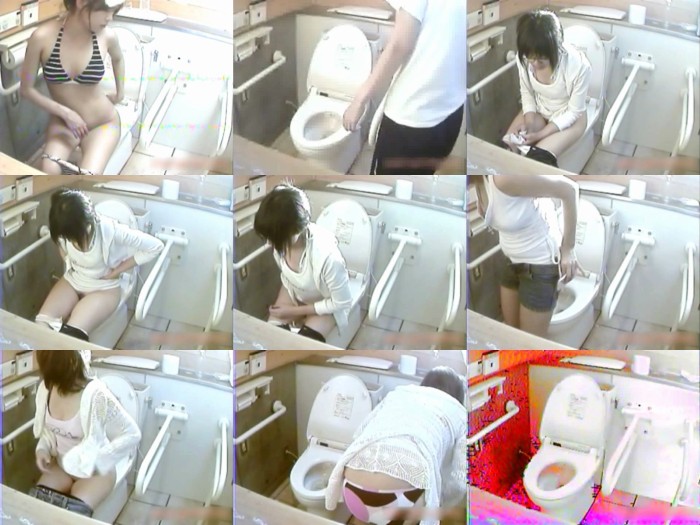 密撮!!夏の海岸洋式個室トイレVol.15 Peeping-eyes toilet TO-8077