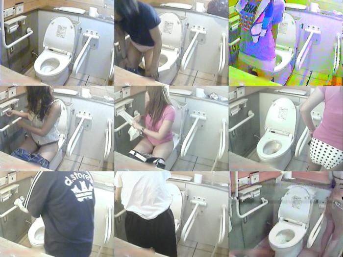 密撮!!夏の海岸洋式個室トイレVol.16 Peeping-eyes toilet TO-8078