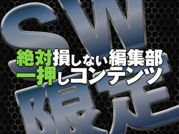 sw201915girlwc 突然消えたあの作品　15名美女揃いの丸見え和式　　　SW2019