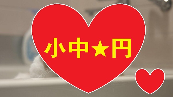 連休スペシャル企画★SC級★高画質無修正レア動画放出！